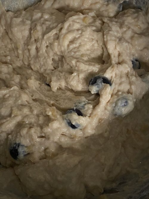 Free stock photo of baking, berries, blueberries Stock Photo