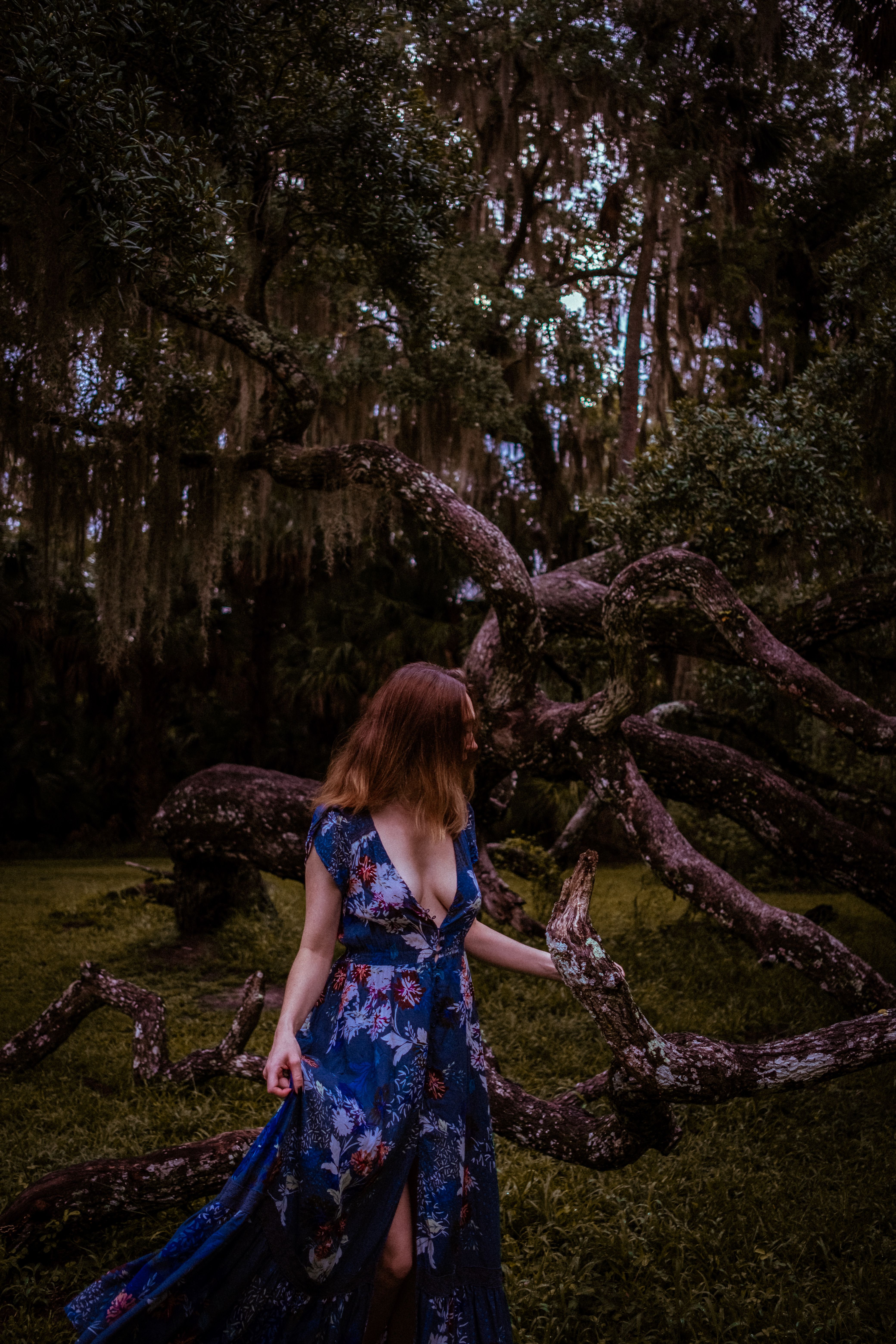 Woman in Blue Floral Dress Standing Under the Tree · Free Stock Photo