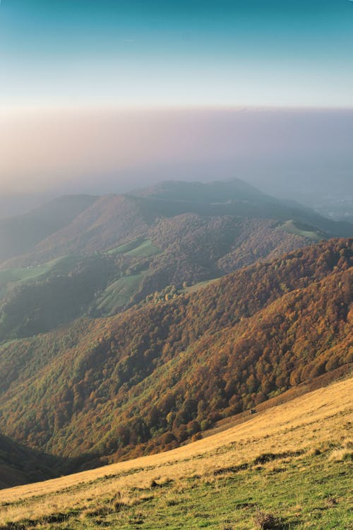 Free stock photo of alpine, alps, autumn