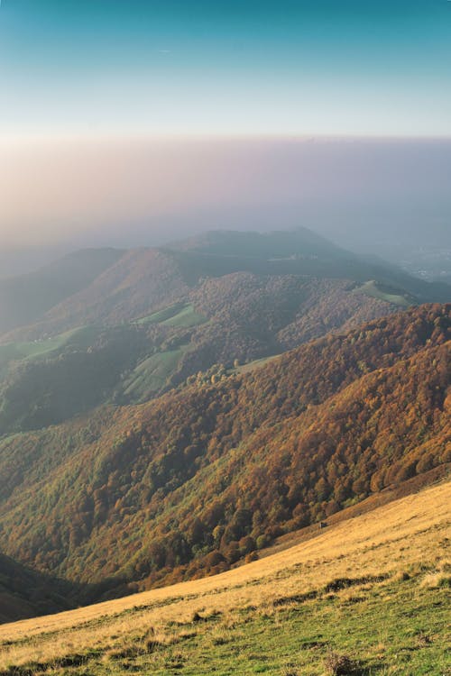 Gratis stockfoto met Alpen, herfst, herfst bos