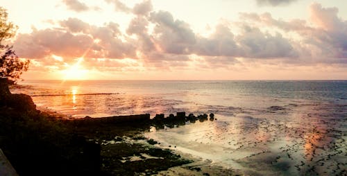 Free stock photo of african indian ocean, african sunrise, kenya