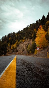 Explore a beautiful autumn road winding through Tosya's mountain landscape in Türkiye.