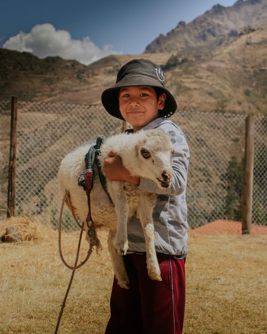 A smiling young boy in Pisac, Peru, holds a lamb in a rural setting.
