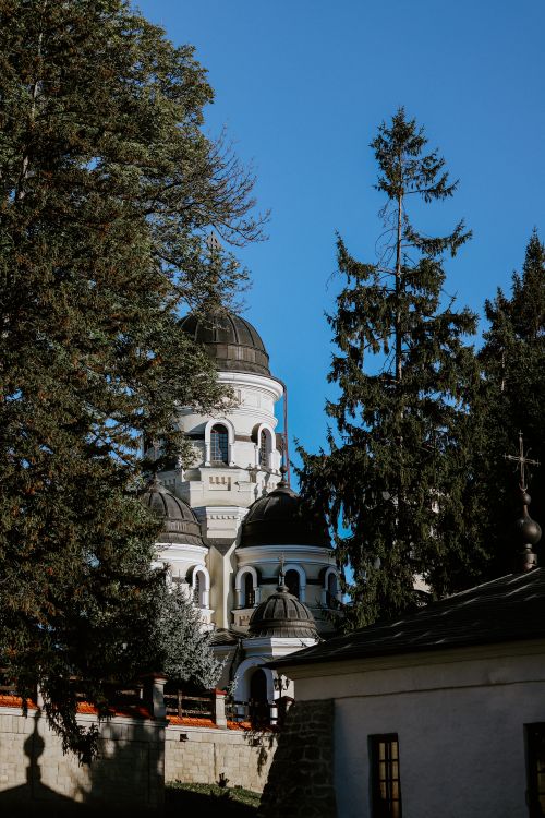 Free Beautiful church with domes peeking through tall trees and a clear blue sky. Stock Photo