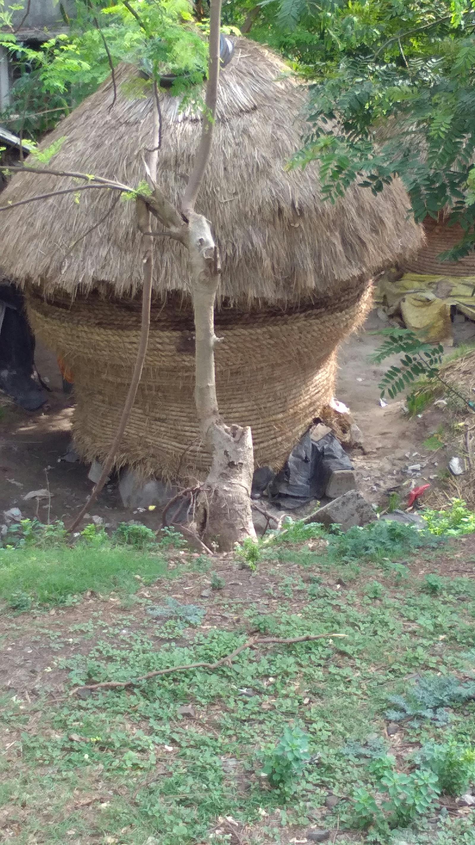 Close-up of a smartphone showing a social media app with engagement icons