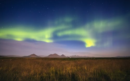 Foto profissional grátis de Aurora boreal, campo de grama, fotografia da natureza
