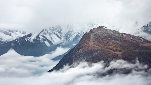 Foto d'estoc gratuïta de a l'aire lliure, fotografia de natura, hivern