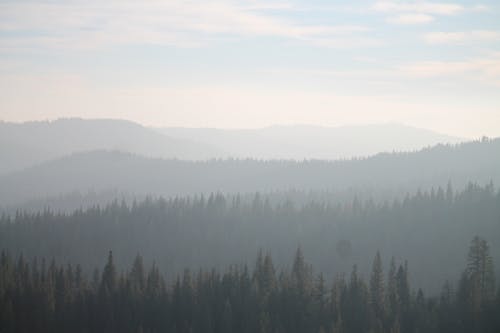 加州, 山, 常綠 的 免费素材图片