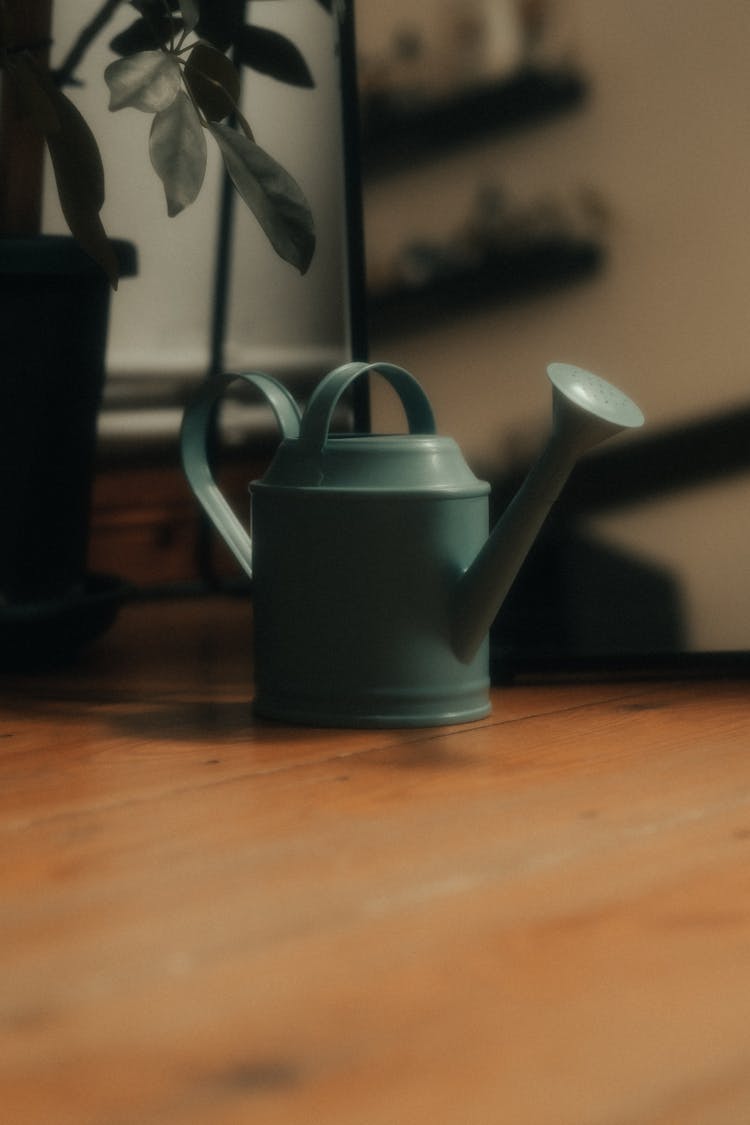 Watering Can O The Floor