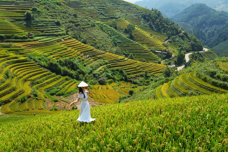 A Woman In White Dress Wearing Conical Hat While Standing On Paddy Field