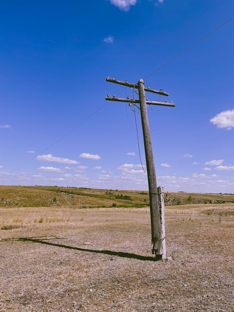 Electricity Pole In Field In Countryside