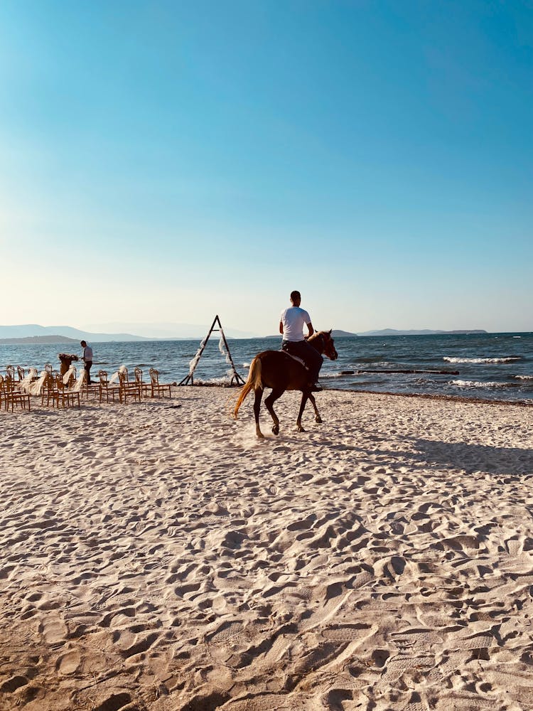 Man On Horse On Beach