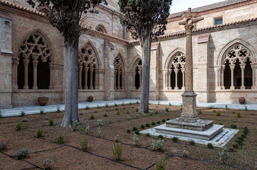Trees and a Monument in the Courtyard of Saint Mary Cathedral, Ciudad Rodrigo, Spain