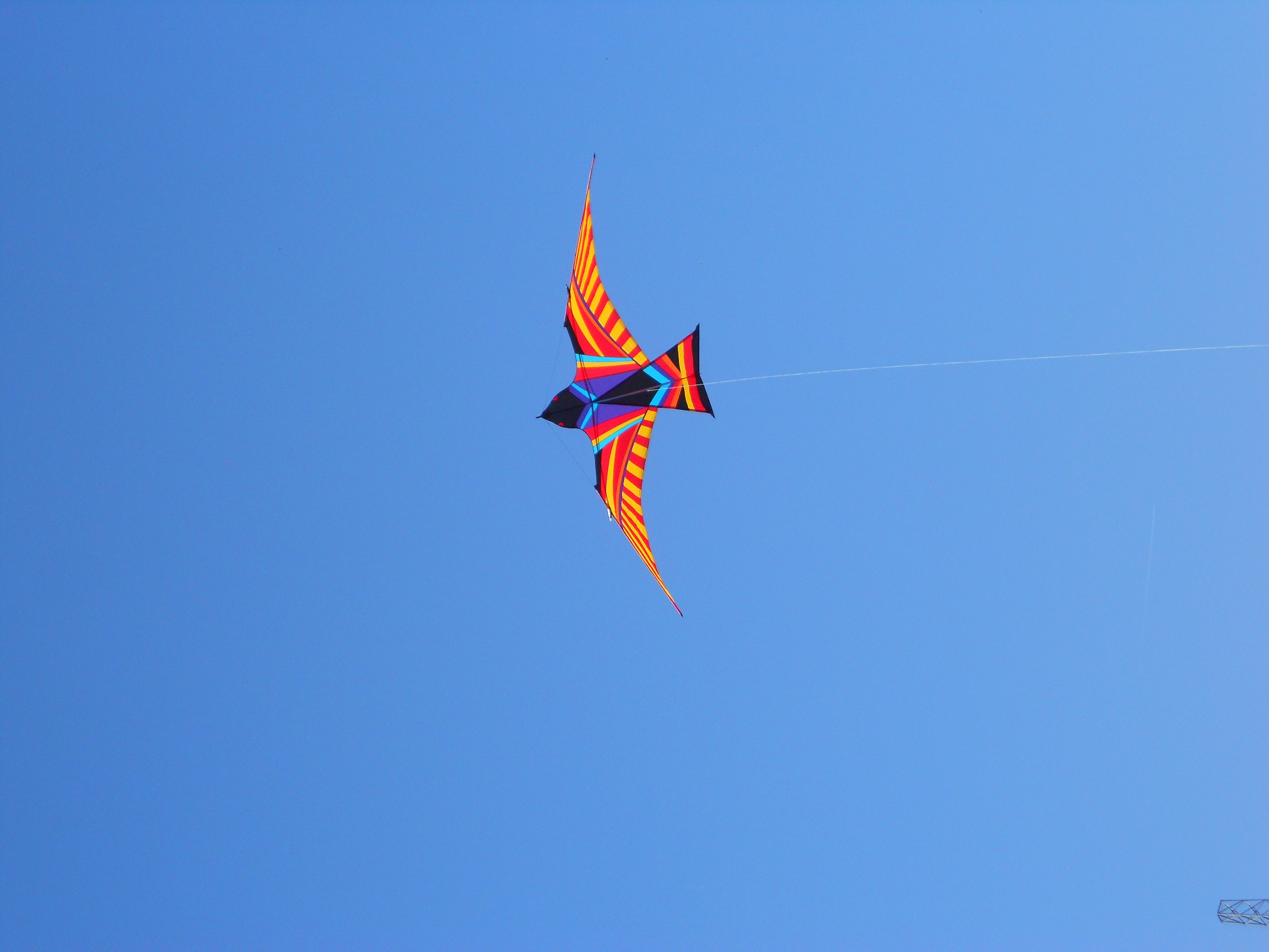 Free stock photo of bird kite, blue sky, kite