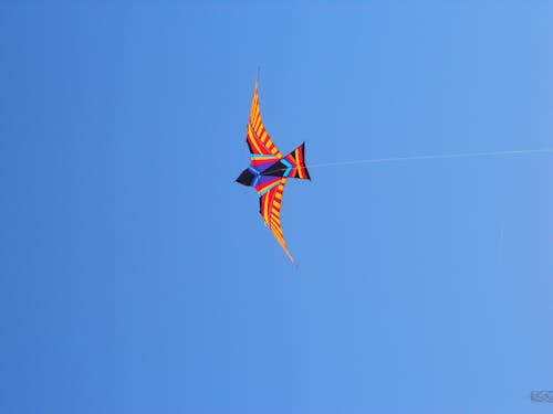 Kostenloses Stock Foto zu blauer himmel, drachen, drachenfliegen