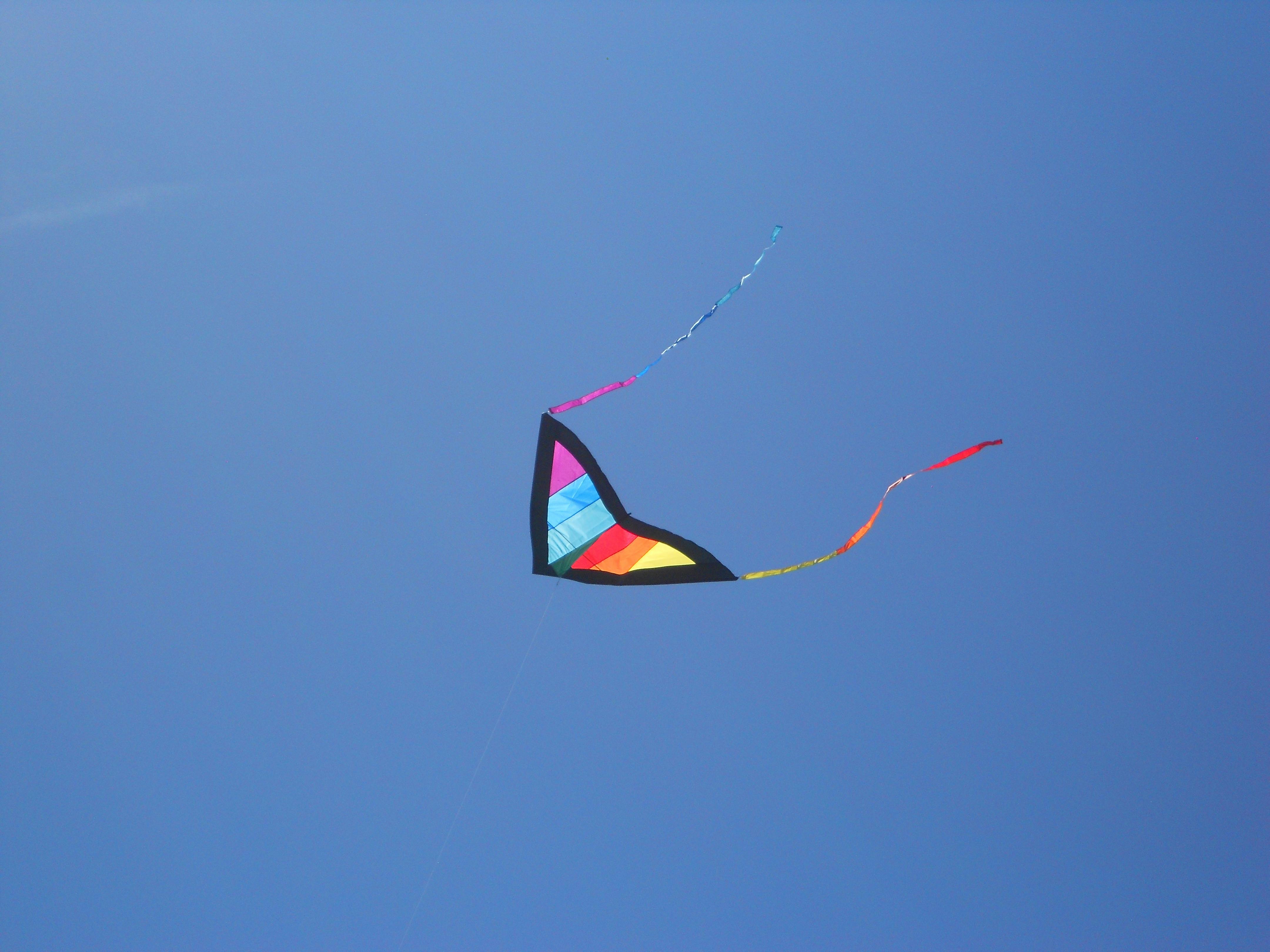 Free stock photo of blue sky, flying kites, kite