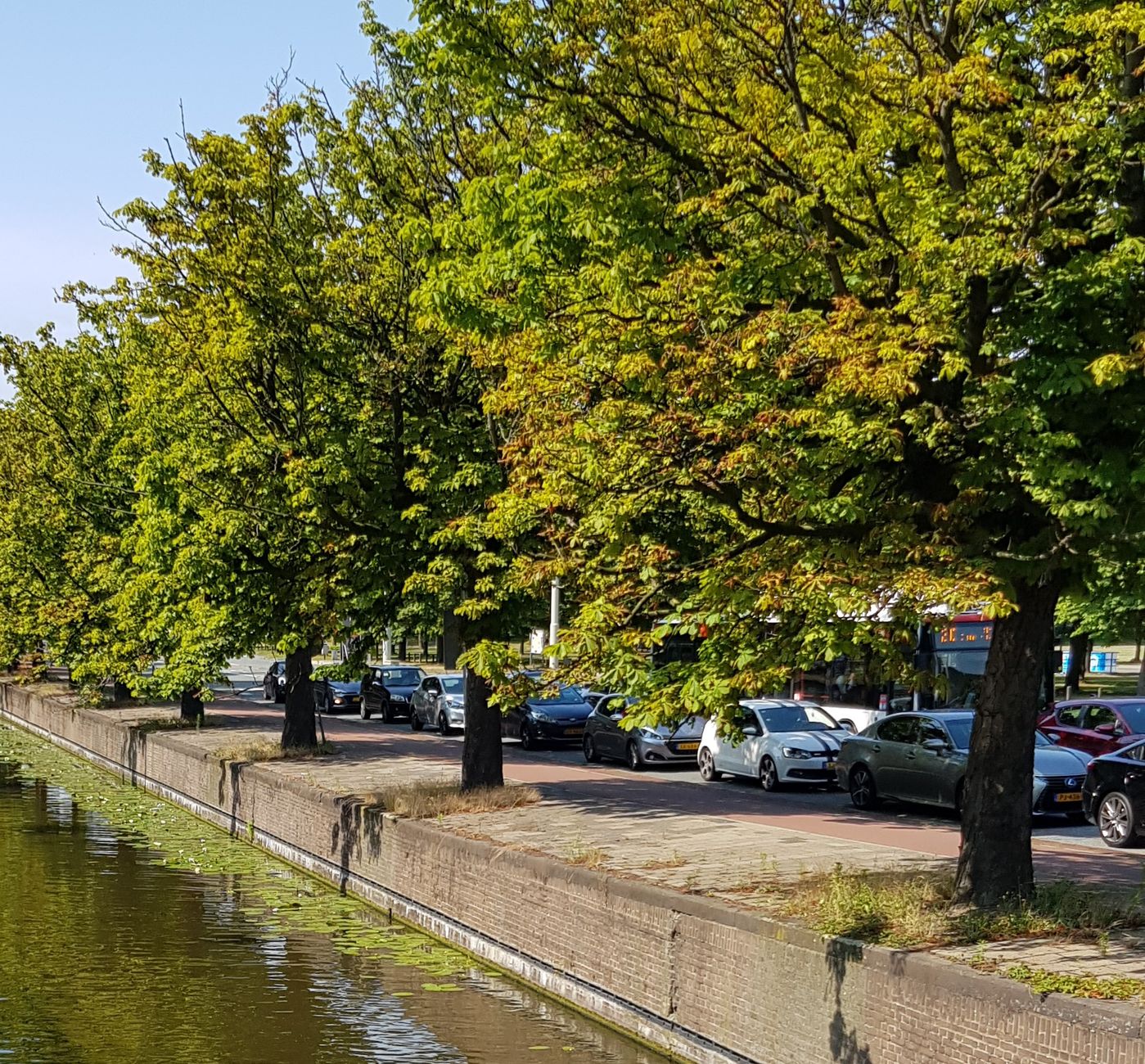 Komen er nieuwe vragen over rijhulpsystemen in het theorie-examen?