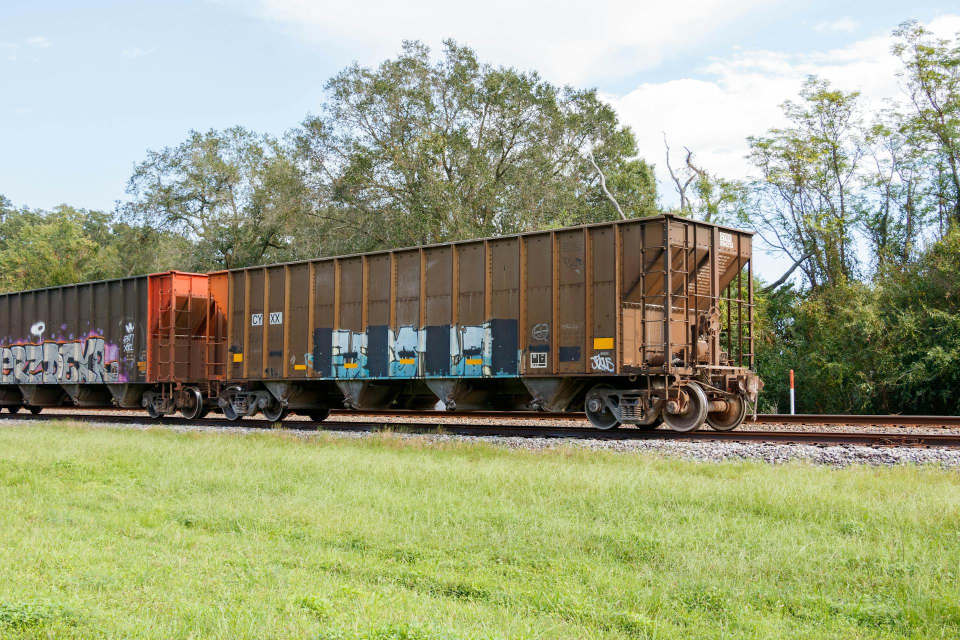 Freight train with graffiti-covered wagons passing through lush rural Florida, ideal for transport or countryside themes.