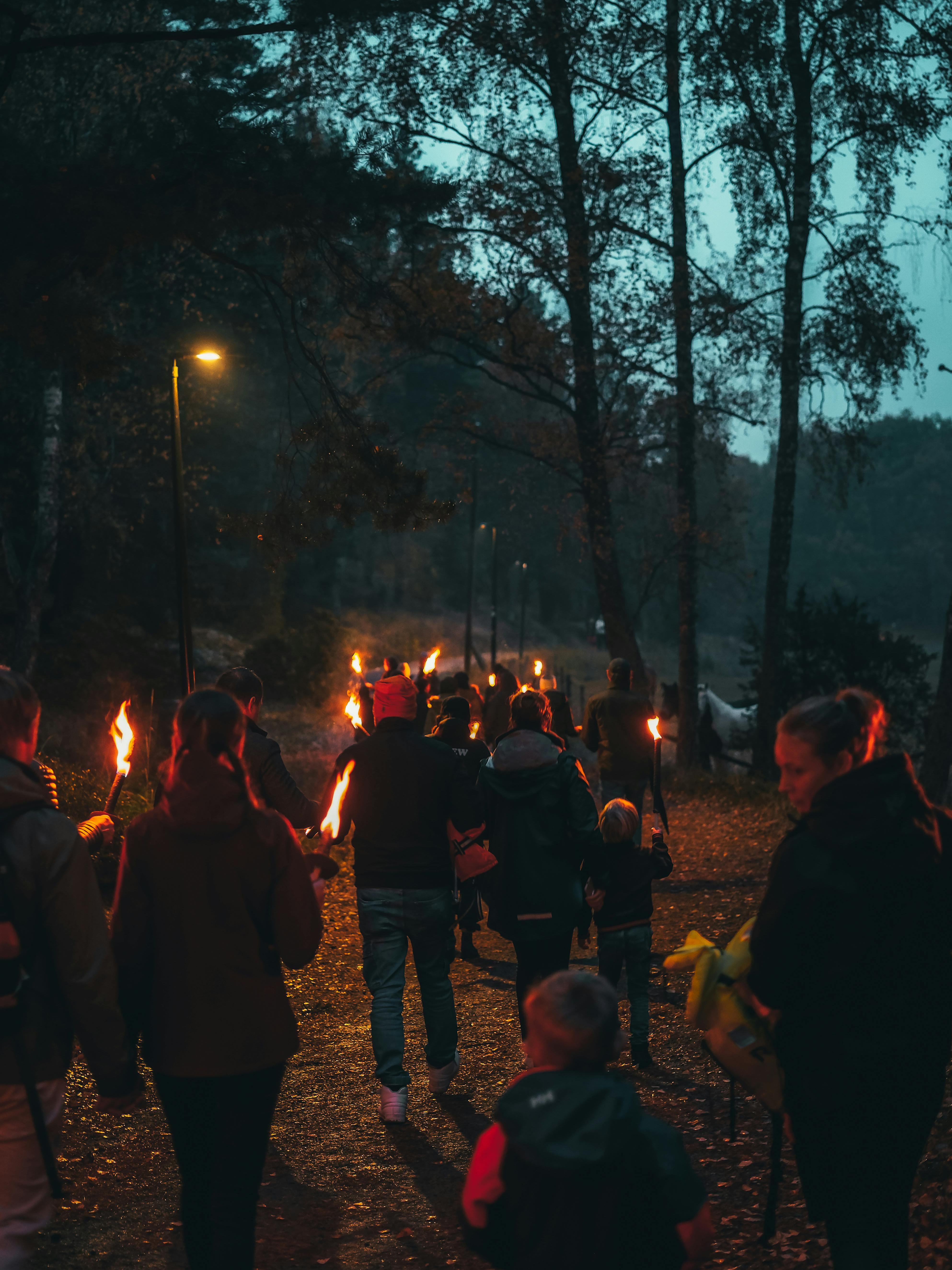 Unveiling Nature’s Mysteries: 7 Surprising Discoveries from 99 Nights in the Forest Experience