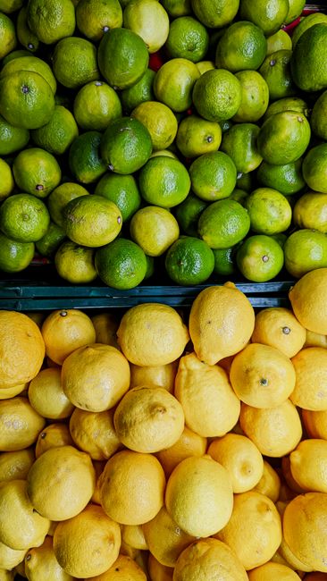 Vibrant display of lemons and limes at a market stall, highlighting freshness and quality.