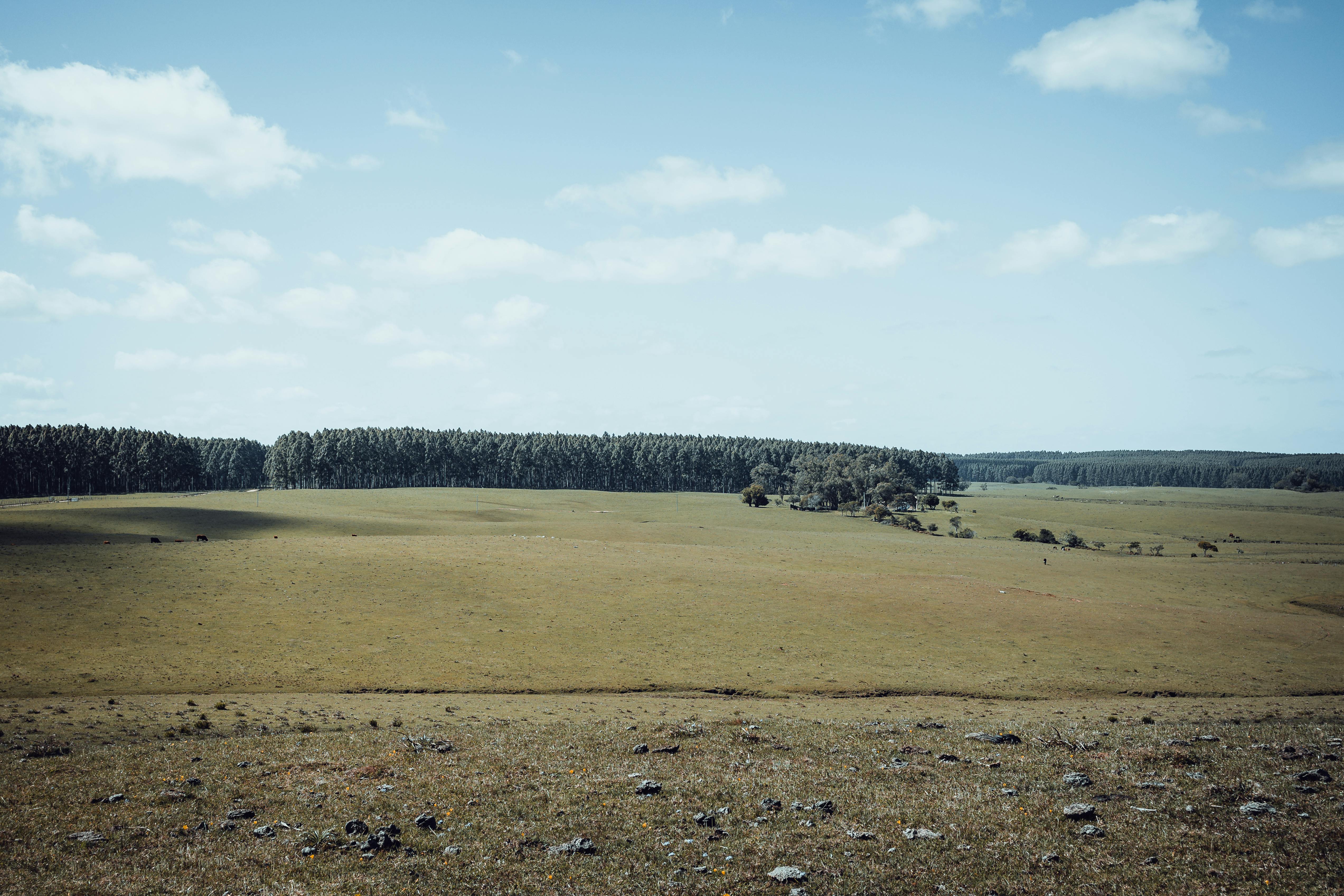 8k Wallpaper Mit Photos, Download The BEST Free 8k Wallpaper Mit Stock