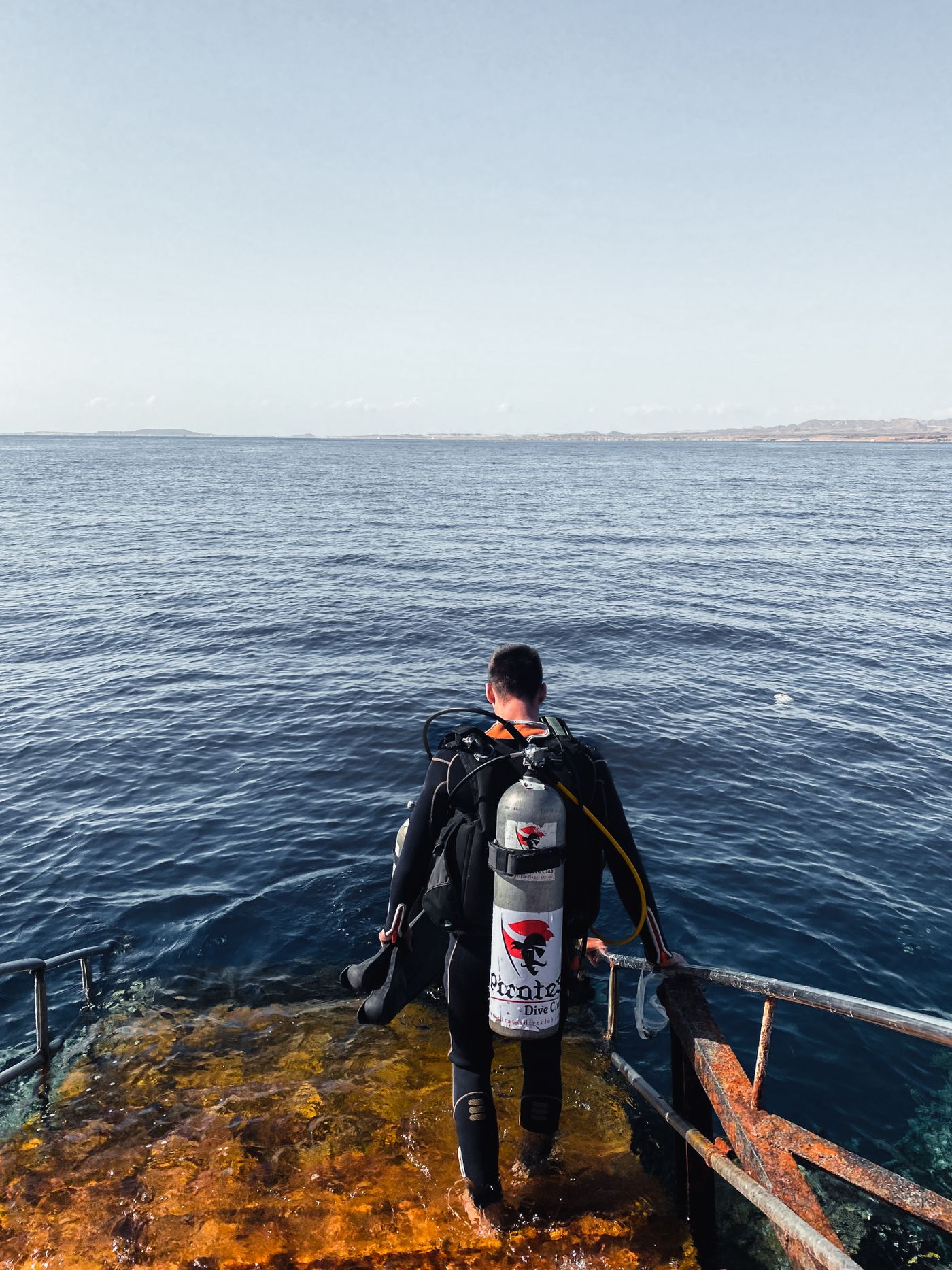 Nurek wchodzący do Morza Czerwonego w Sharm el-Sheikh