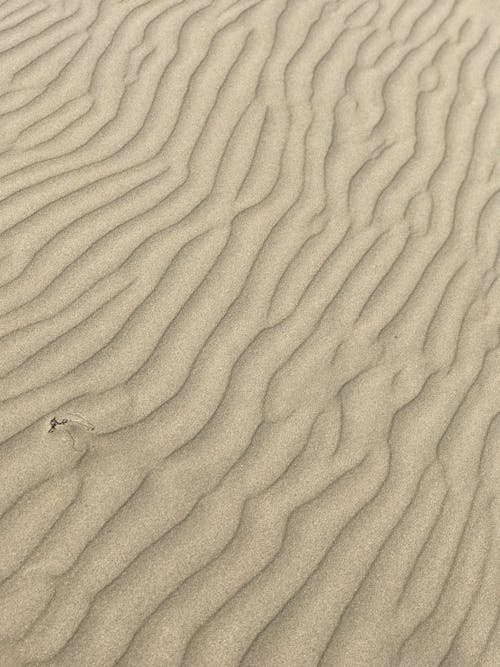 Aerial View of a Desert