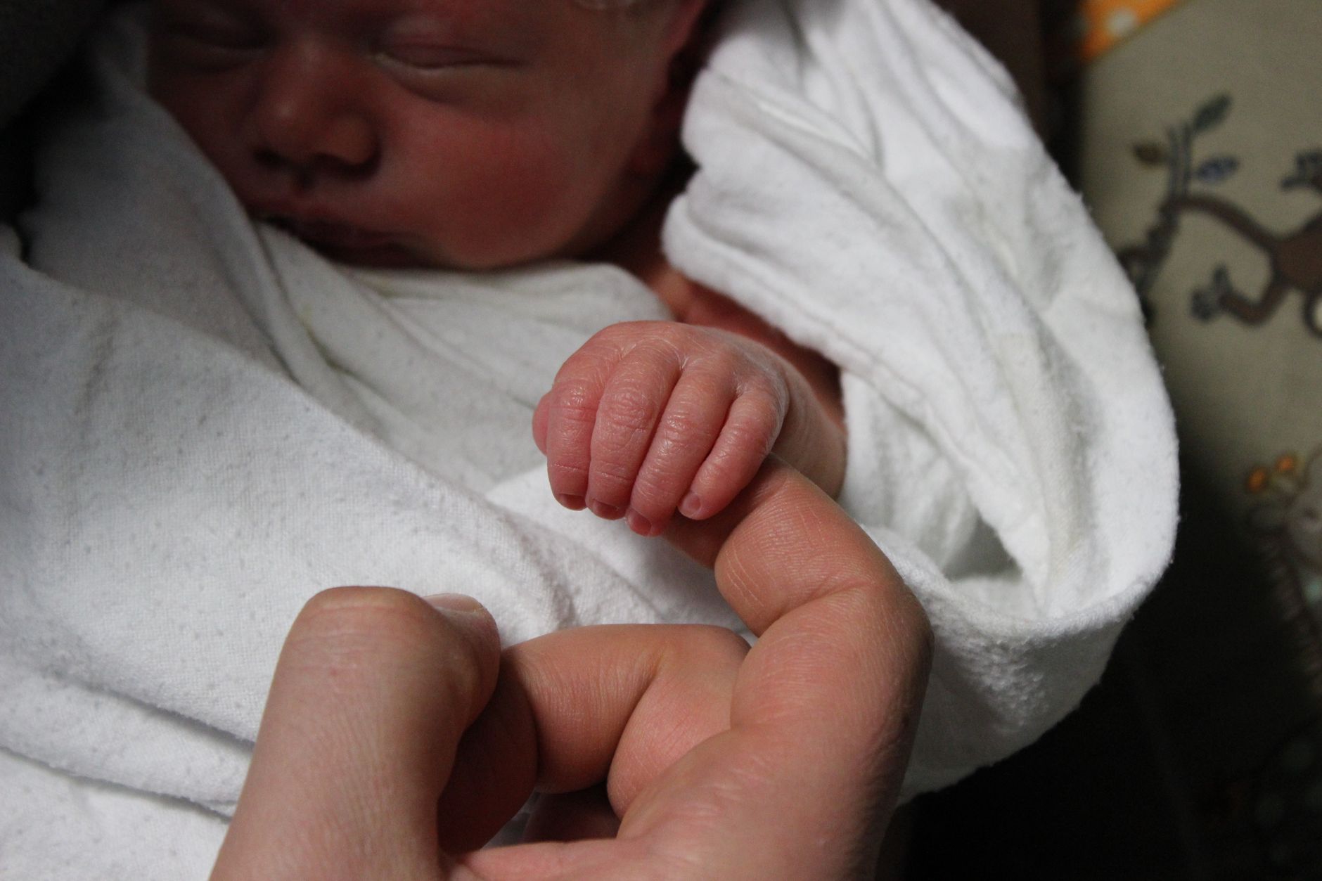 Close-up of a newborn baby clasping an adult's finger, showcasing the bond of love and care.