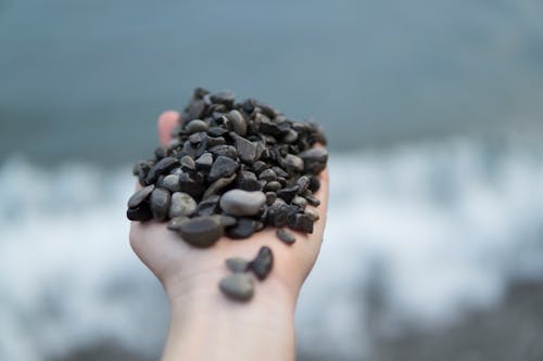Photo of Person Holding Stones