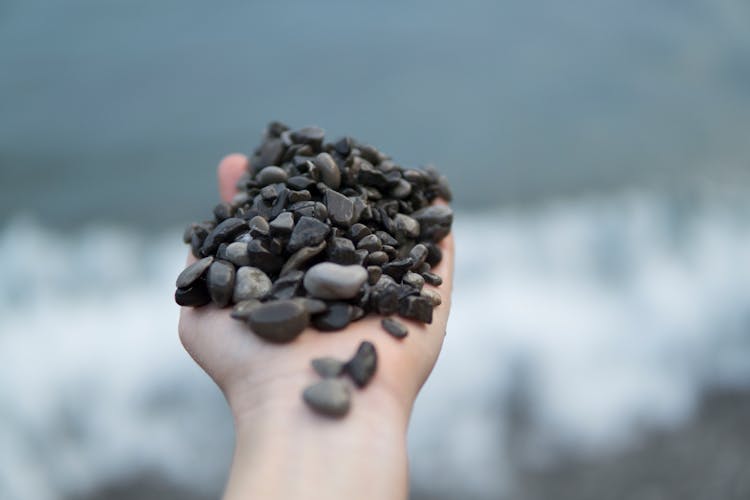 Photo Of Person Holding Stones