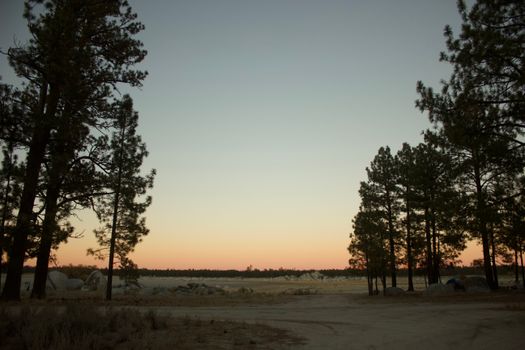 Tranquil sunset over an open field with pine trees in B.C., Mexico.