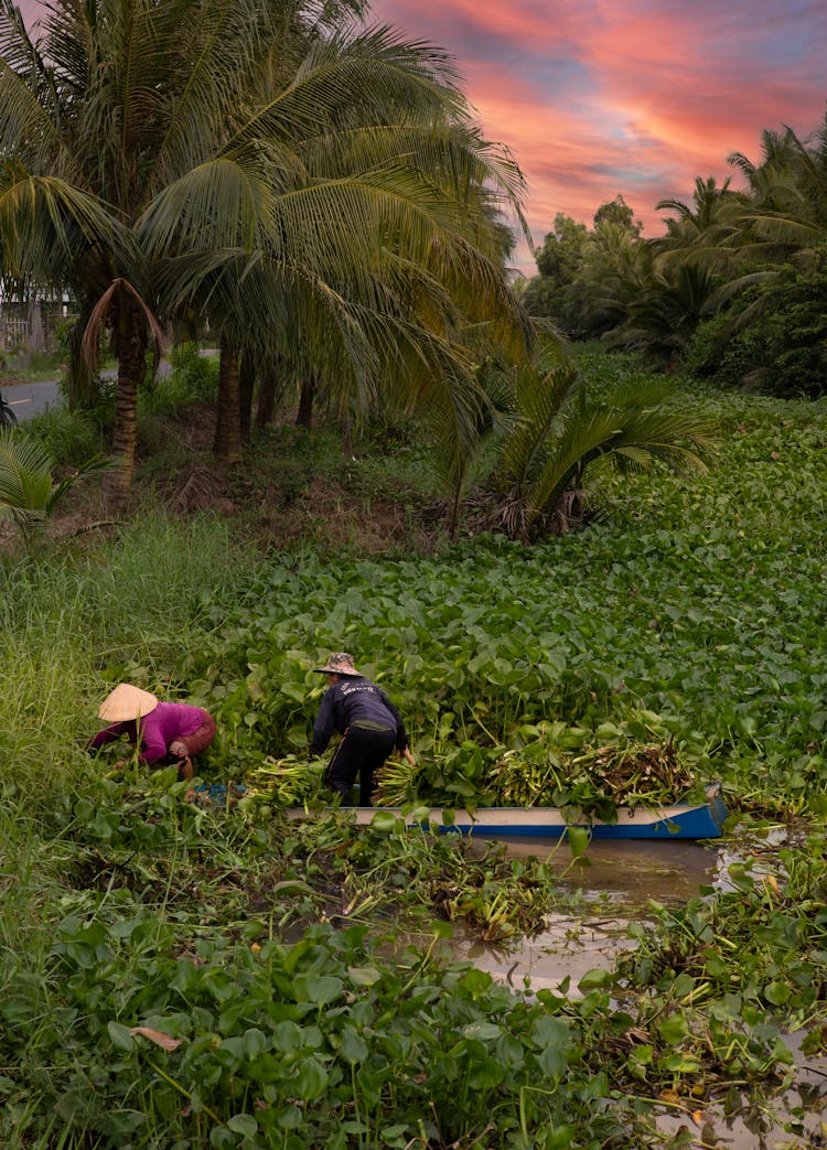 Two People Working On A Field 