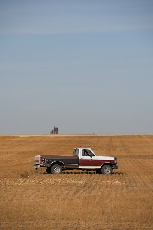 Pickup Truck in Field
