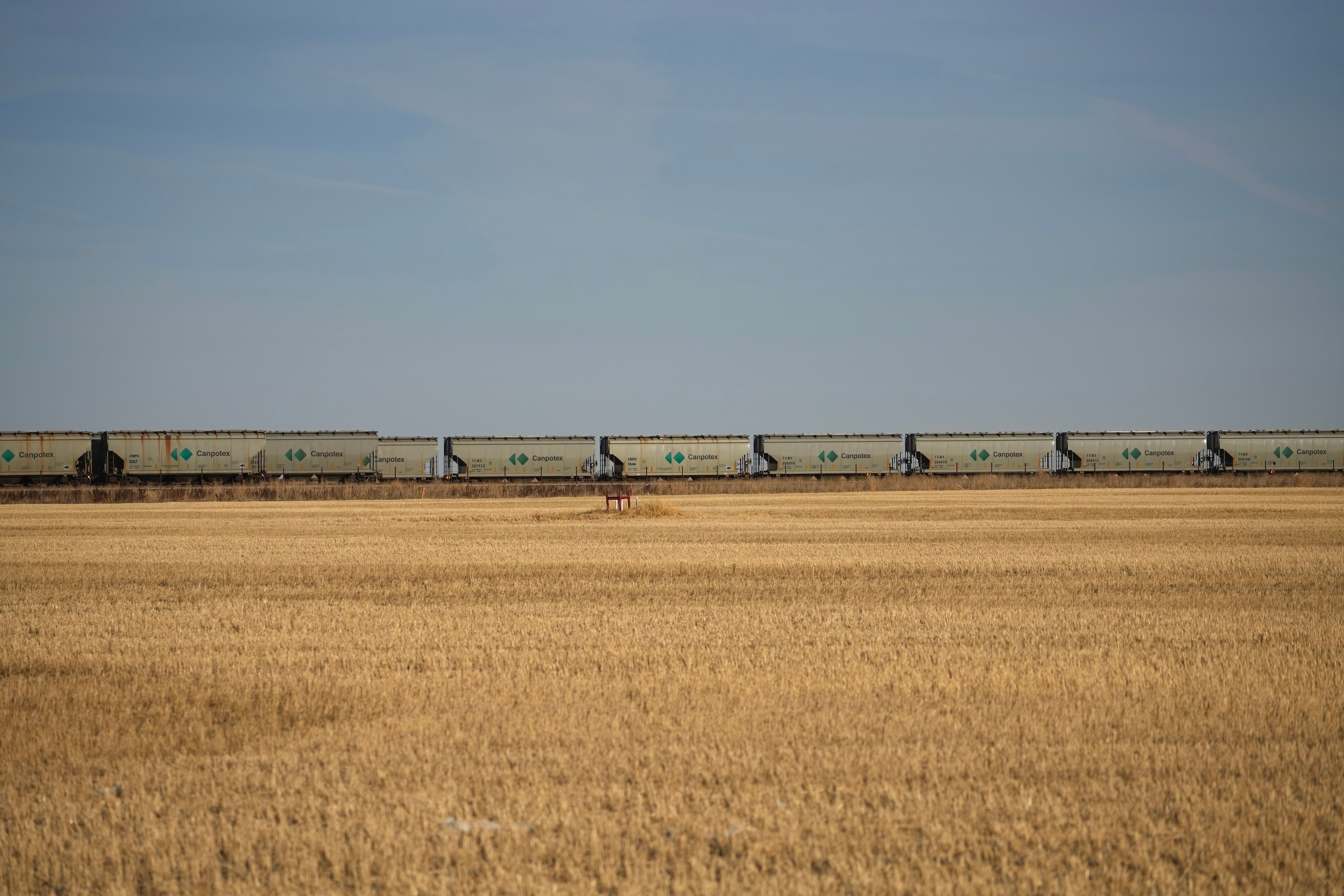 Ferrovia de MT Impulsiona Agronegócio