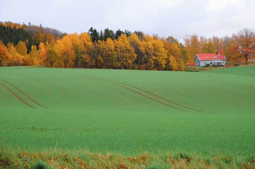 Darmowe zdjęcie z galerii z dom, drzewa, krajobraz