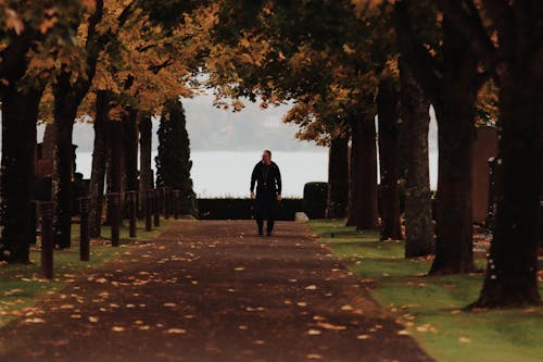 Free Man Walking in Park in Autumn Stock Photo