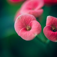 Photo by Luo Chris on Pexels