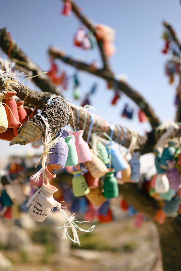 Colorful Bottles Hanging On Tree