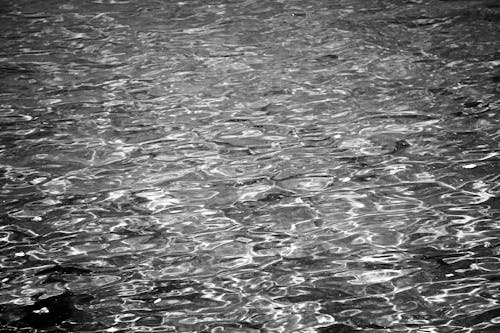 Gratis stockfoto met eenkleurig, gebied met water, grayscale