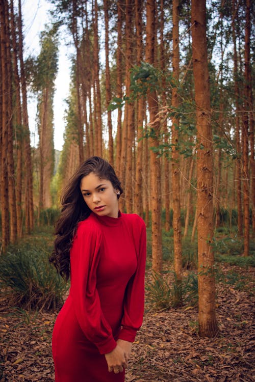 나무, 빨간 드레스, 서 있는의 무료 스톡 사진