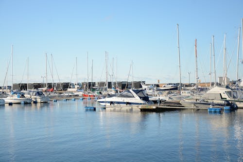 White Boats on the Harbour