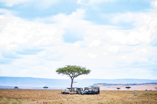 4x4 Car Standing on the Savannah under a Tree