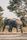 botswana