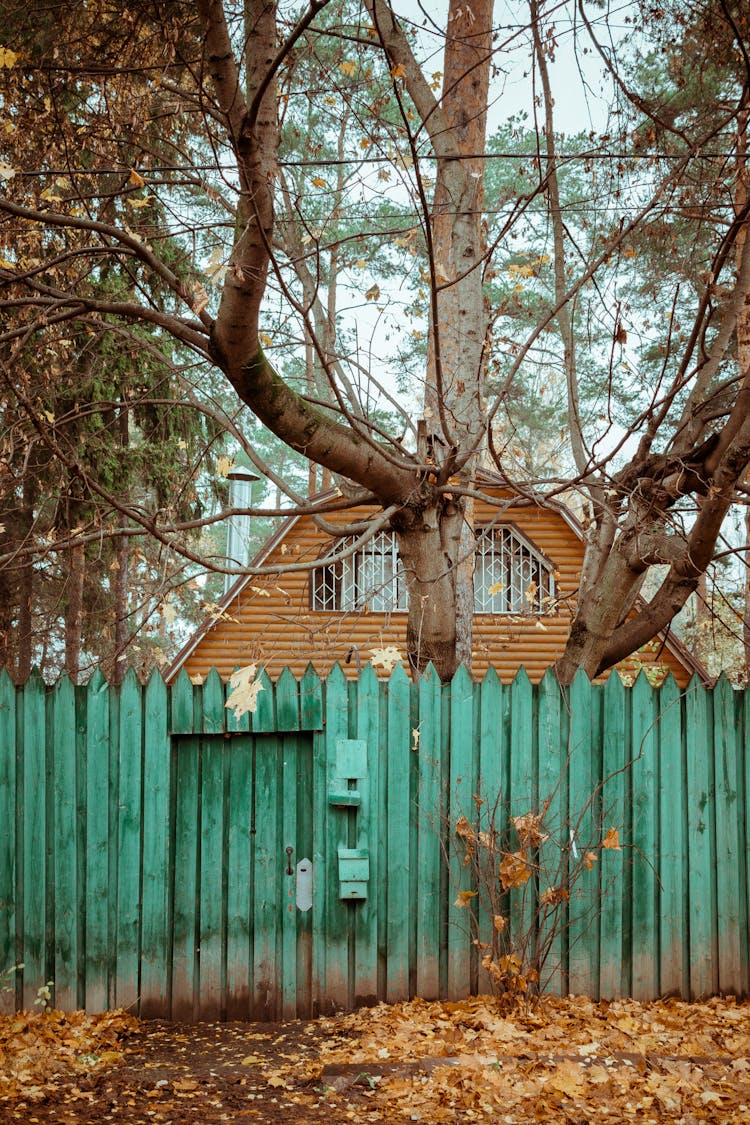 House Behind Fence In Autumn