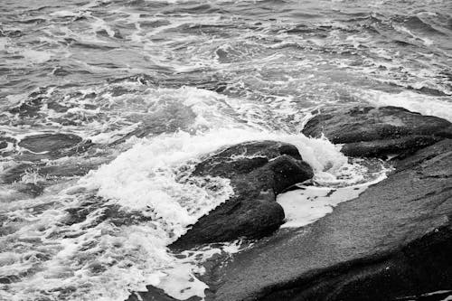 deniz dalgaları, deniz kenarı, deniz kıyısı içeren Ücretsiz stok fotoğraf