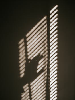 Artistic shadow of a hand on slatted window blinds in a dimly lit room.