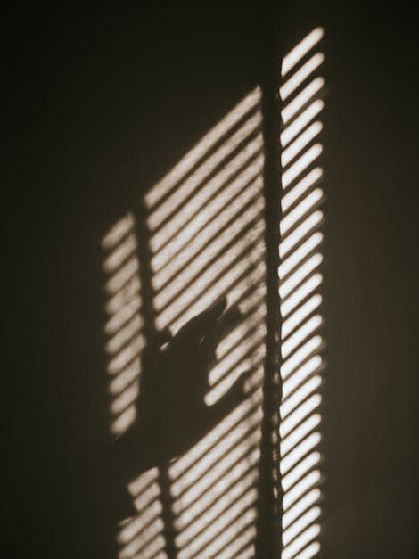 Hand over Blinds on Window · Free Stock Photo