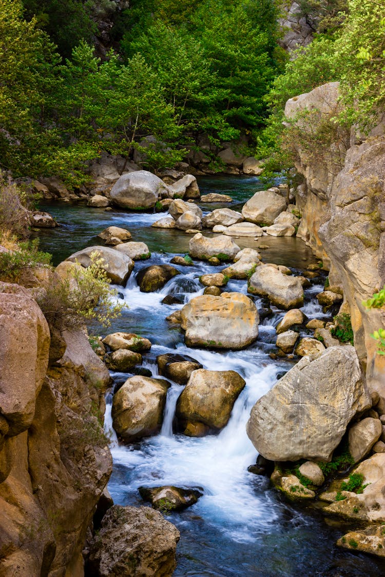 Photo Of A Mountain Stream 