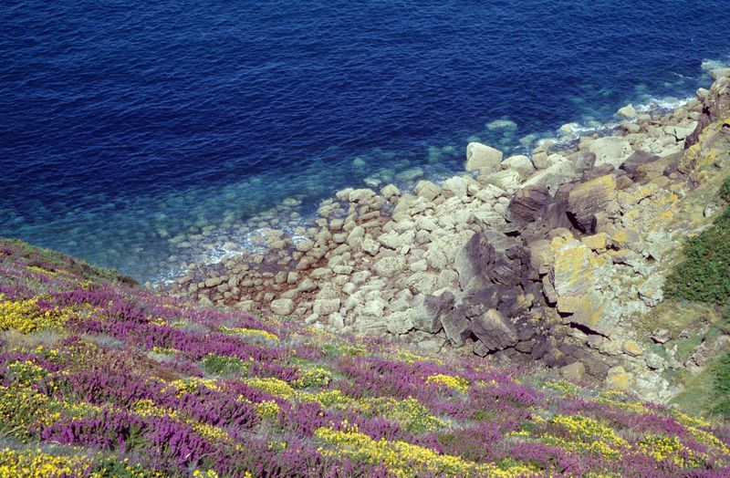 Côte fleurie et rocheuse à Langueux, Baie de Saint-Brieuc