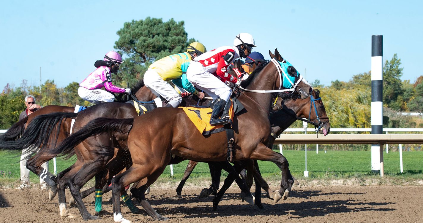 Jockeys et chevaux pur-sang au galop en plein sprint sur une piste de course